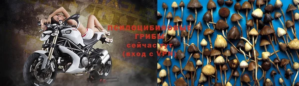 СК Няндома