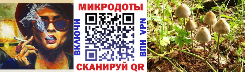 Купить Хотьково Галлюциногенные грибы прущие грибы